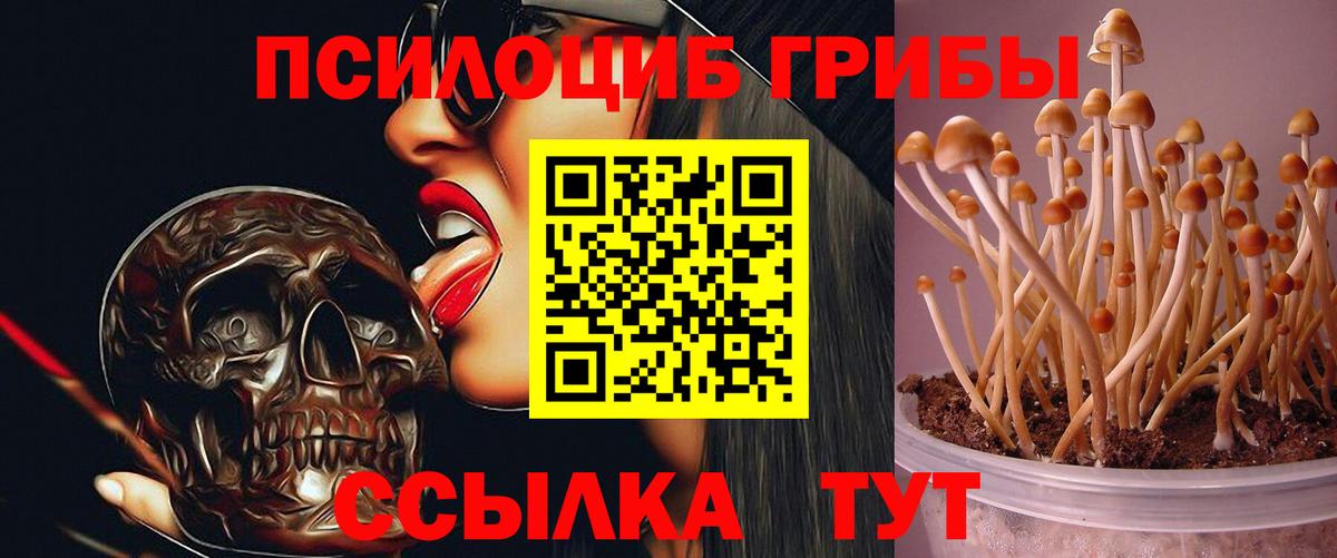наркота  Псилоцибиновые грибы мицелий  Вход с VPN  Реутов  Псилоцибиновые грибы мухоморы 
